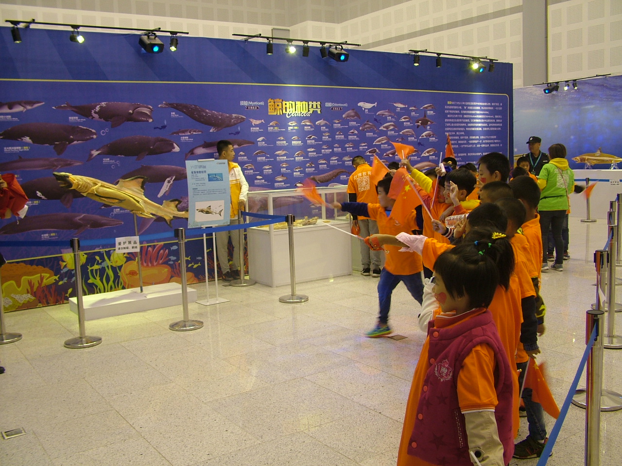 DSCF8216.jpg